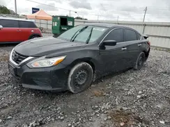1N4AL3AP5HN356294 2017 NISSAN ALTIMA