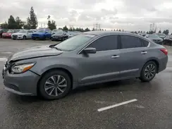 1N4AL3AP7GC144443 2016 NISSAN ALTIMA