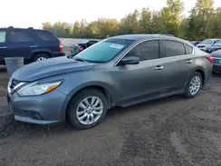 1N4AL3AP7GN317897 2016 NISSAN ALTIMA