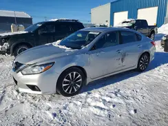 1N4AL3AP7GN318743 2016 NISSAN ALTIMA