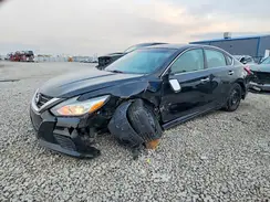 1N4AL3AP7HN303676 2017 NISSAN ALTIMA