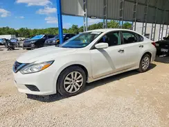 1N4AL3AP7HN305783 2017 NISSAN ALTIMA