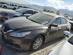1N4AL3AP7HN311597 2017 NISSAN ALTIMA