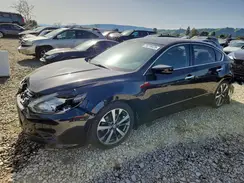 1N4AL3AP7HN316007 2017 NISSAN ALTIMA