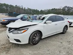 1N4AL3AP7HN317383 2017 NISSAN ALTIMA