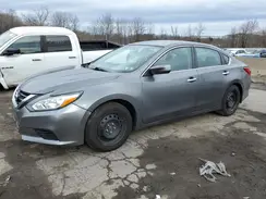 1N4AL3AP7HN361366 2017 NISSAN ALTIMA