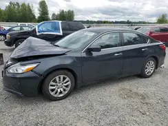 1N4AL3AP8GC183428 2016 NISSAN ALTIMA