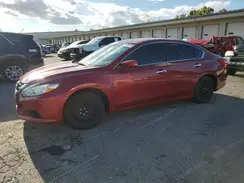 1N4AL3AP8GC228206 2016 NISSAN ALTIMA