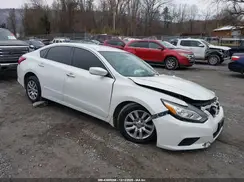 1N4AL3AP8HC137244 2017 NISSAN ALTIMA