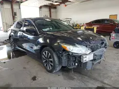 1N4AL3AP8HC210080 2017 NISSAN ALTIMA