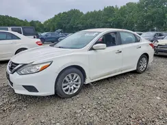 1N4AL3AP8HN338839 2017 NISSAN ALTIMA