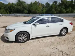 1N4AL3AP9HC156787 2017 NISSAN ALTIMA