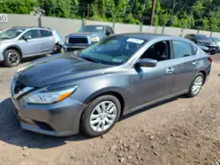 1N4AL3APXHC153252 2017 NISSAN ALTIMA