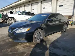 1N4AL3APXHC241556 2017 NISSAN ALTIMA