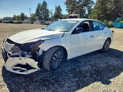 1N4BL4DV2SN312216 2025 NISSAN ALTIMA