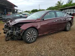 1N4BL4DV4RN336835 2024 NISSAN ALTIMA