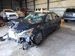 1N4BL4DV5PN338591 2023 NISSAN ALTIMA