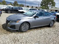 1N4BL4DV6SN339774 2025 NISSAN ALTIMA