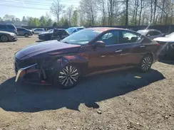 1N4BL4DV8PN361279 2023 NISSAN ALTIMA