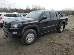 1N6ED1EK7RN631464 2024 NISSAN NAVARA (FRONTIER)