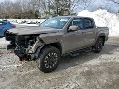 1N6ED1EKXRN621821 2024 NISSAN NAVARA (FRONTIER)