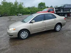 1NXBR32E66Z650800 2019 TOYOTA COROLLA