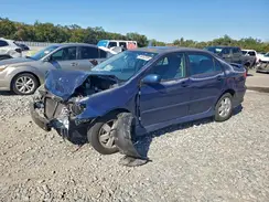 1NXBR32E95Z503823 2026 TOYOTA COROLLA
