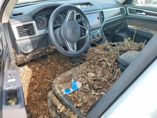 1V2HR2CA9MC583888 2021 VOLKSWAGEN ATLAS - Image 8