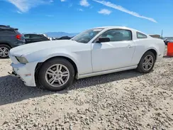 1ZVBP8AM4E5297995 2023 FORD MUSTANG