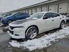 2C3CDXAG7GH347387 2016 DODGE CHARGER