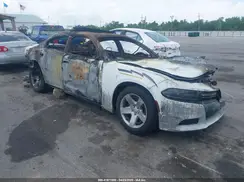 2C3CDXAG9KH544571 2019 DODGE CHARGER