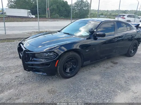 2C3CDXAT0PH516131 2023 DODGE CHARGER - Image 2
