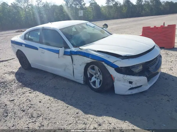 2C3CDXAT3KH599711 2019 DODGE CHARGER - Image 1