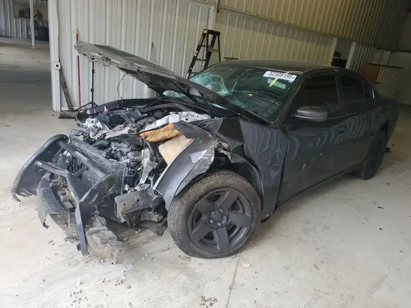 2C3CDXAT5KH599029 2019 DODGE CHARGER - Image 1