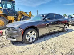 2C3CDXAT5PH541588 2023 DODGE CHARGER