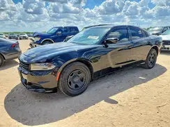 2C3CDXAT8PH534232 2023 DODGE CHARGER