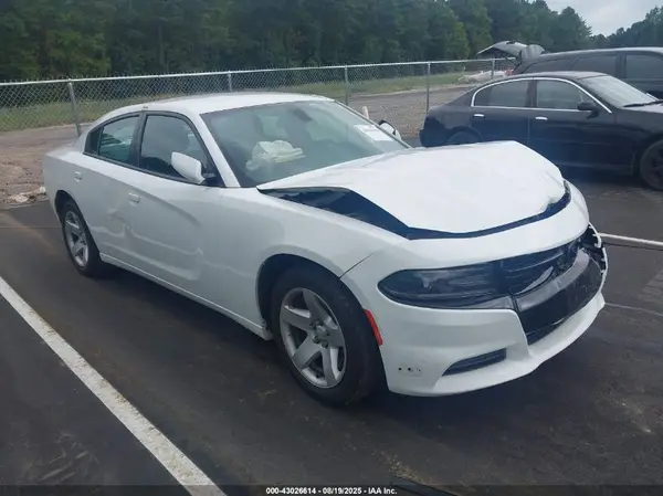 2C3CDXAT9KH537682 2019 DODGE CHARGER - Image 1