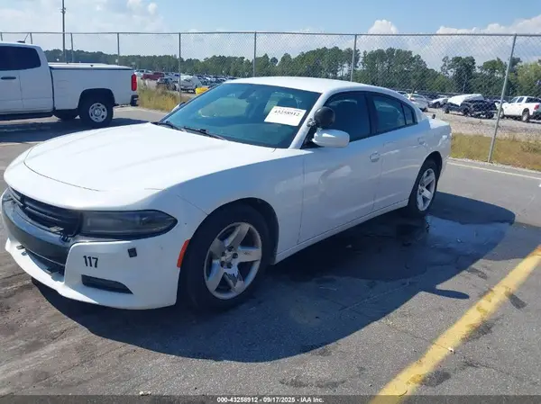 2C3CDXAT9KH582895 2019 DODGE CHARGER - Image 2