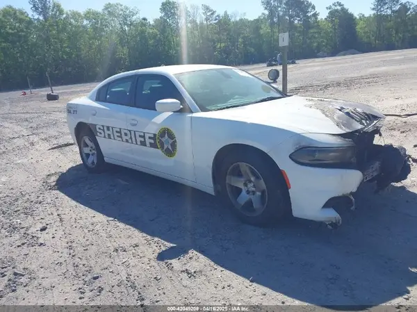 2C3CDXAT9KH644876 2019 DODGE CHARGER - Image 1