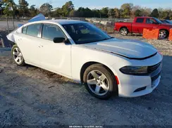 2C3CDXAT9PH519481 2023 DODGE CHARGER