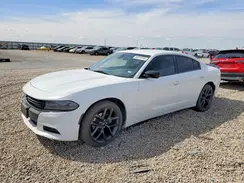2C3CDXBG0KH564433 2019 DODGE CHARGER