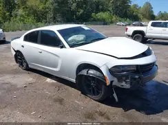 2C3CDXBG0LH136458 2020 DODGE CHARGER