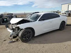 2C3CDXBG0PH518981 2023 DODGE CHARGER