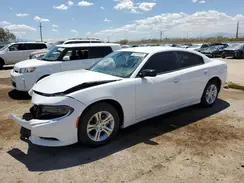2C3CDXBG0PH699810 2023 DODGE CHARGER