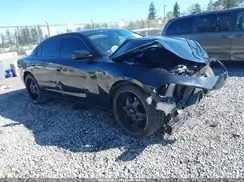 2C3CDXBG1KH509926 2019 DODGE CHARGER