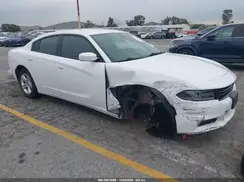 2C3CDXBG1LH134248 2020 DODGE CHARGER