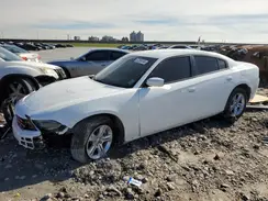 2C3CDXBG1NH201241 2022 DODGE CHARGER