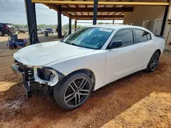 2C3CDXBG2LH238442 2020 DODGE CHARGER