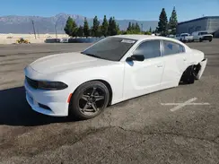 2C3CDXBG2PH671149 2023 DODGE CHARGER