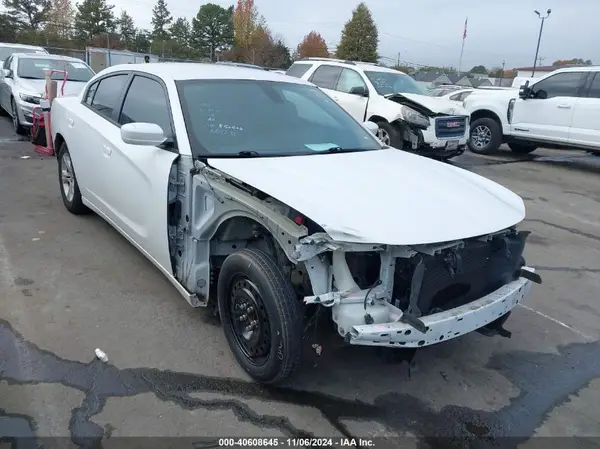 2C3CDXBG3KH664896 2019 DODGE CHARGER - Image 1